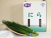 にら画像