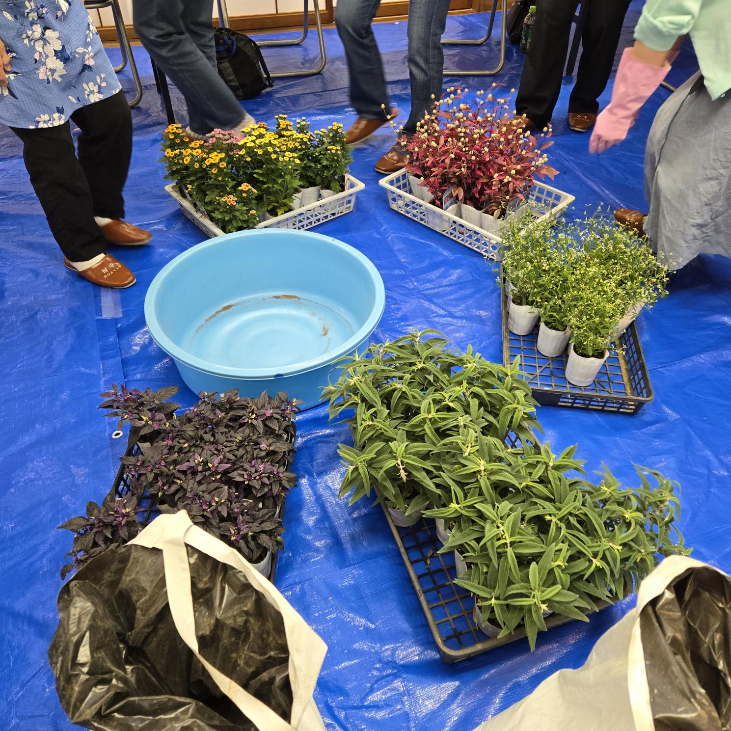 寄せ植え作品例1