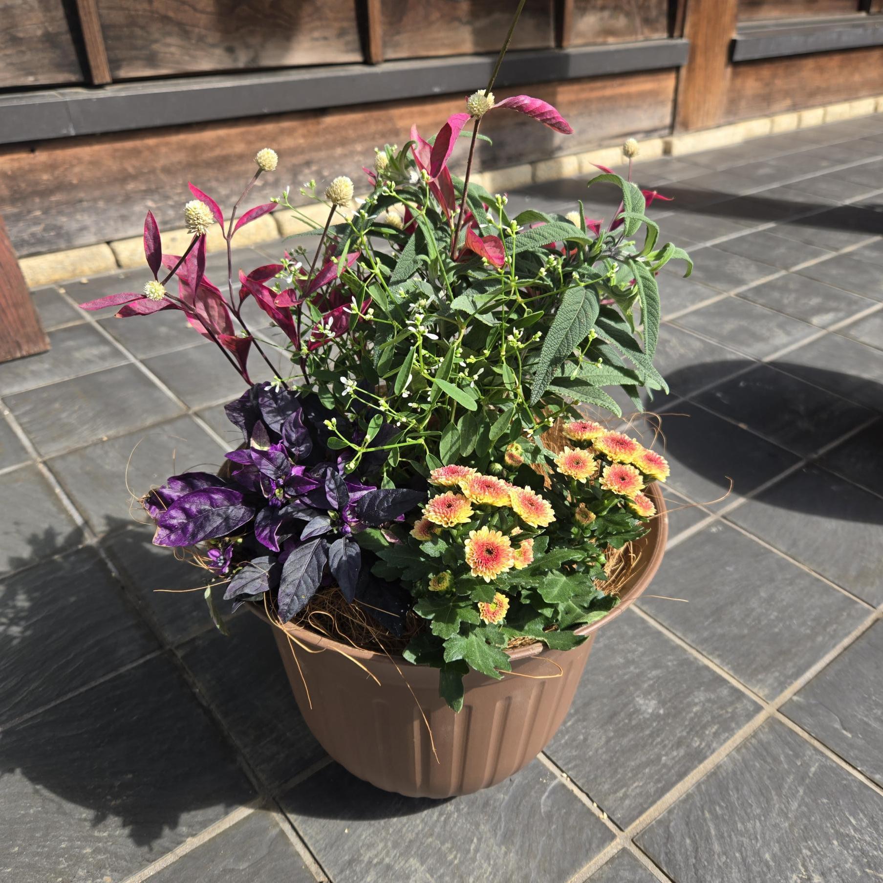 寄せ植え作品例2